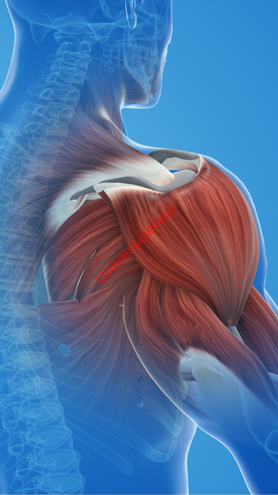 image d'illustration du chapitre