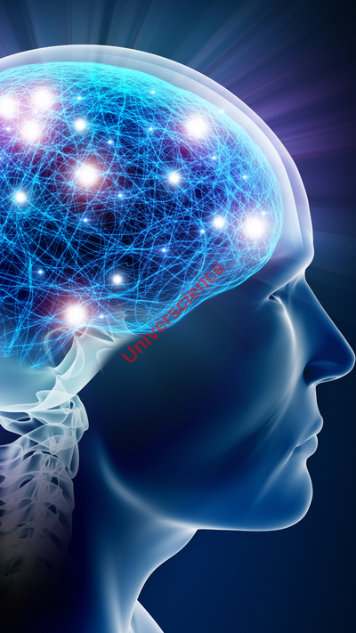 image d'illustration du chapitre